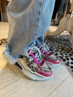 Sale Dwrs Jupiter Sneakers Leo & Fuchia Sneakers
