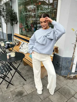 Best Sale Jasmin Bow Sweater Grey Truien