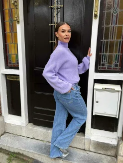 New Lot Sweater Purple Truien