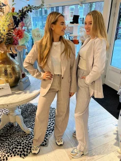 Best Polly Pantalon Taupe Broeken