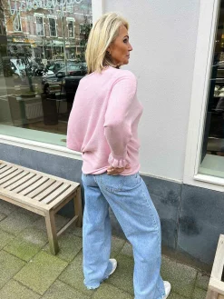 Shop Vlinder Ruffle Sleeve Baby Pink Truien